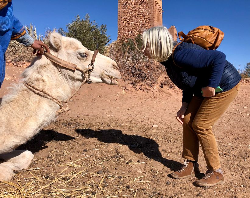 Angelika having a chat with an albino camel.