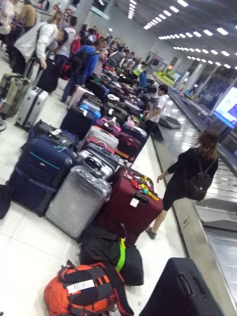 Koffersammlung am Gepäckband