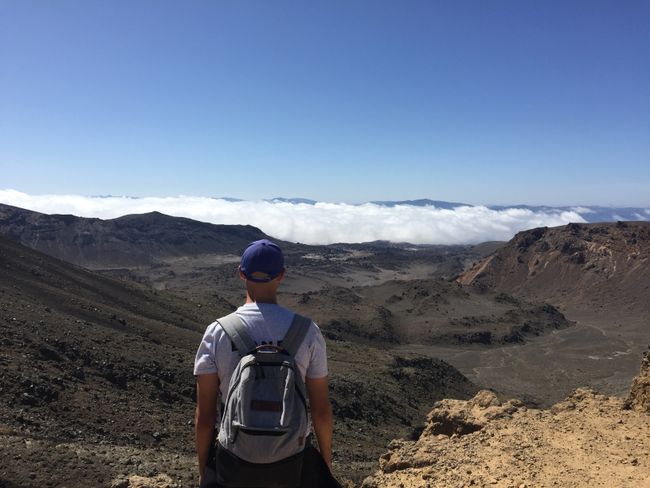 Family time Part 2 and the North Island of New Zealand