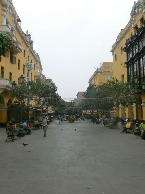 Politics and Culture - In the Center of Lima