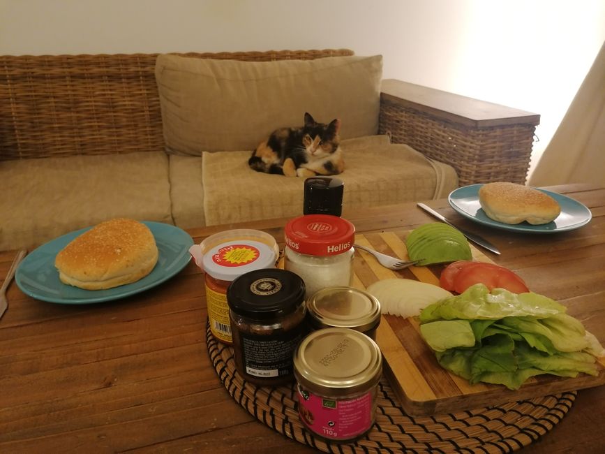 Burger mit Katze