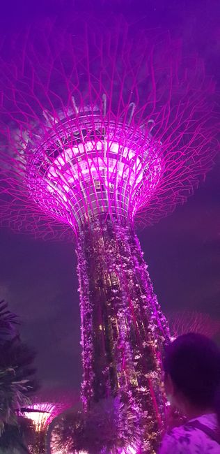 Singapour & Cairns