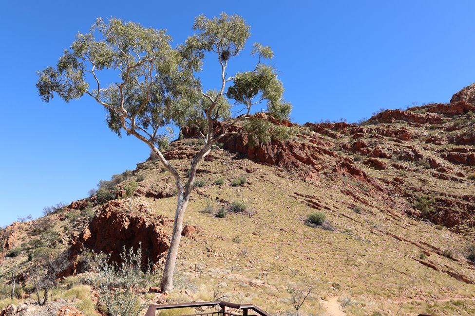 Ghost Gum Lookout at Ormiston Gorge