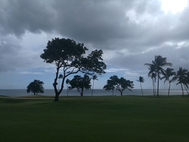Golf Punta Cana & Casa de Campo
