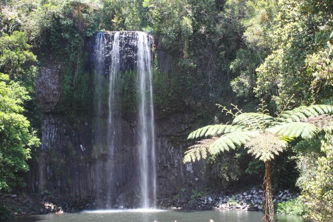 Millaa Millaa Falls