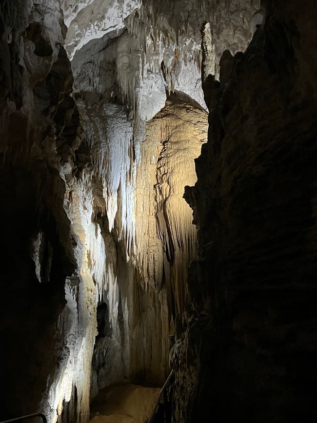 Waitomo - Aranui Cave