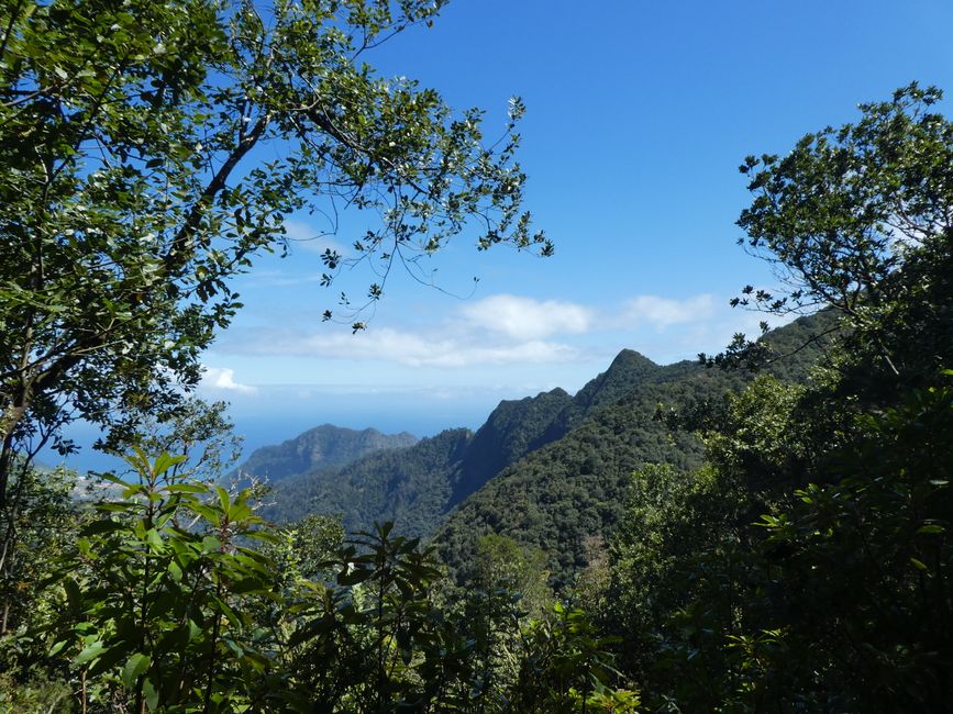 Aussicht Wanderweg am Levada do Furado