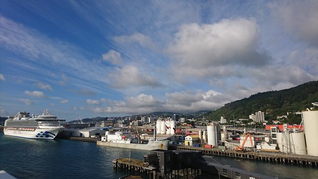 View of Wellington from the ferry