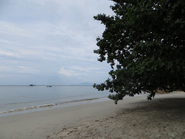 Penang 2. dan: Vrt začina i plaža majmuna