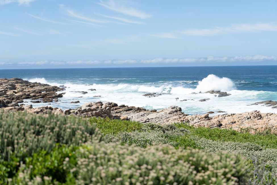 Road trip on the famous Garden Route