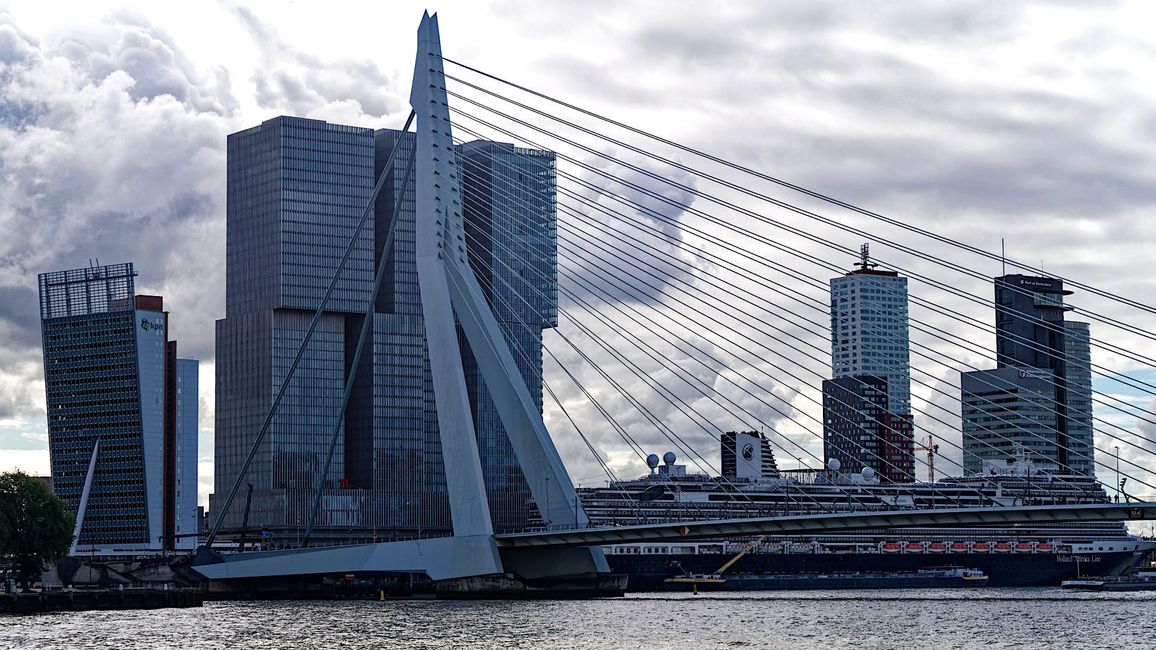 Rotterdam City