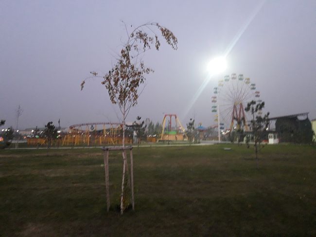 park with Ferris wheel