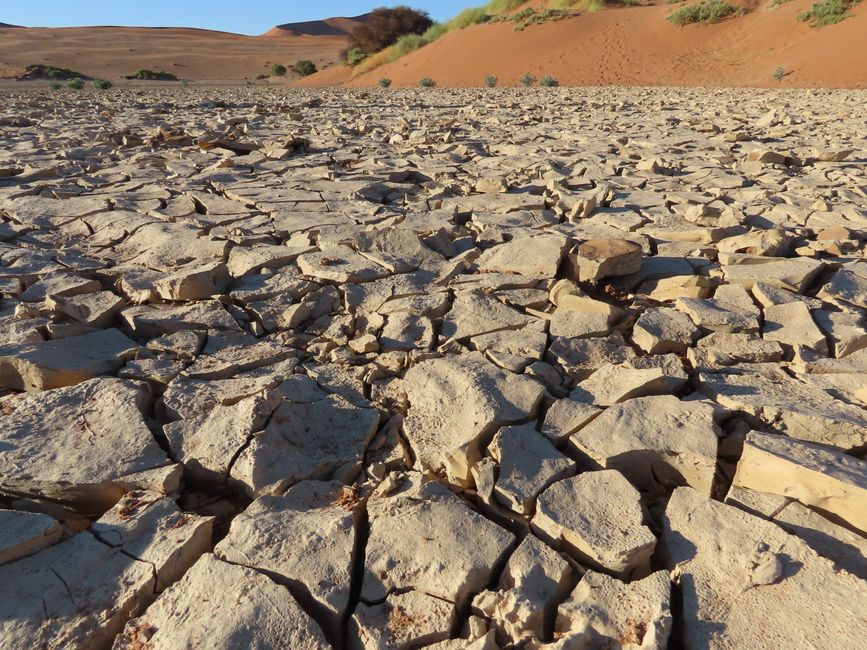 In der Wüste: Die Sossousvlei-Düne im Sesriem Nationalpark