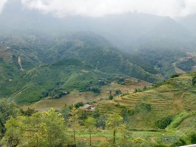 Reisfelder auf der anderen Seite des Tals