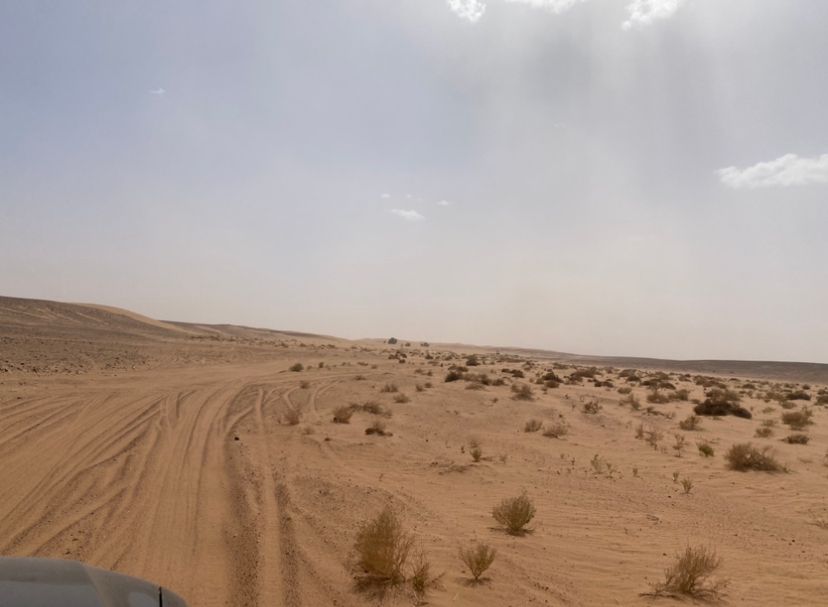 Ørkentur Erg Chegaga