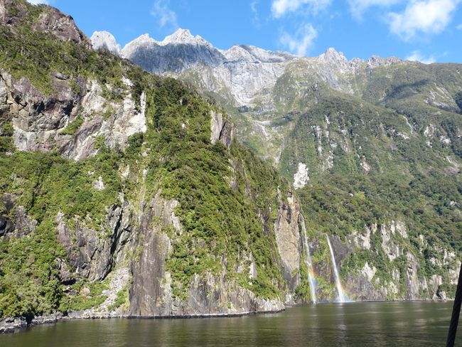 6th day boat tour at Milford Sound