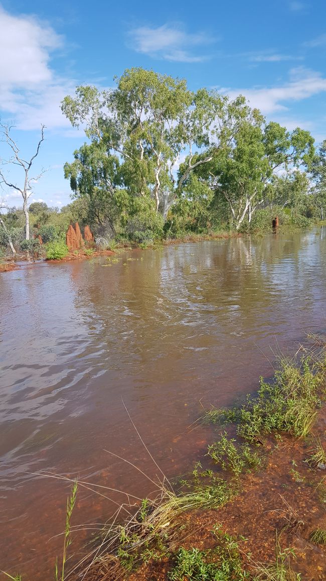 05.03.2023 von Alice Springs nach Tennant Creek