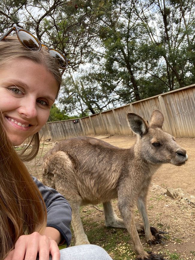 Janina with kangaroo