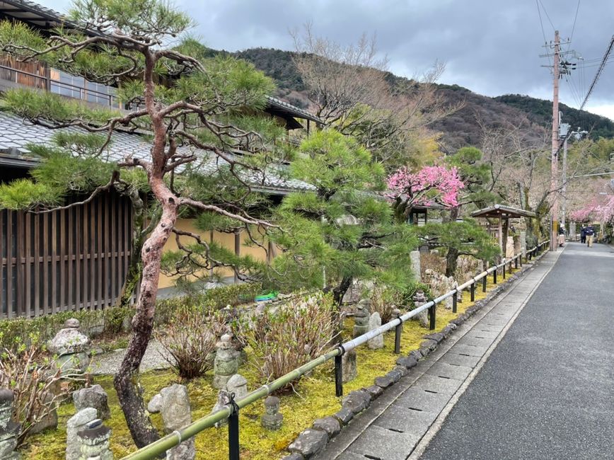 Die schönen Straßen arashiyama