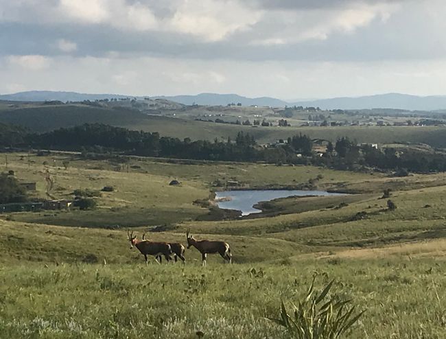 Swaziland