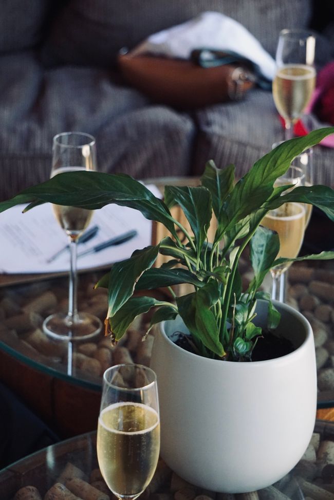 Stellenbosch 