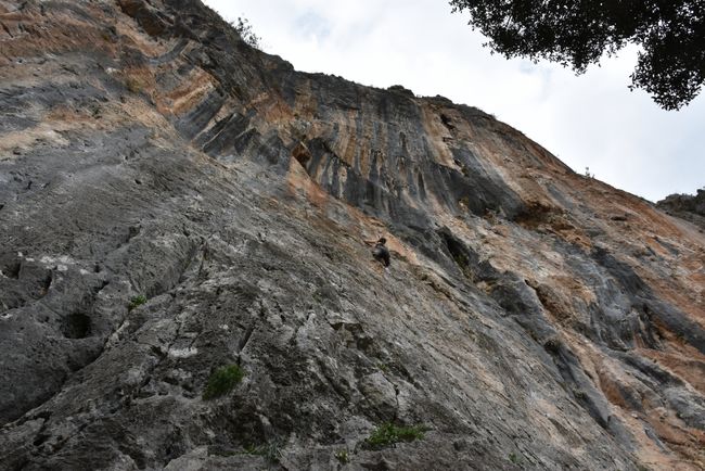Anni in 'Fig Tree' 6a+