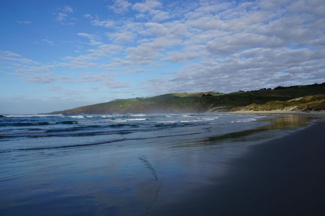 Dunedin und die Otago Peninsula