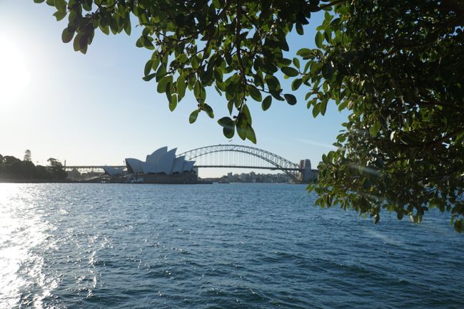 Sydney - Trotz Fehlplanung viel gesehen