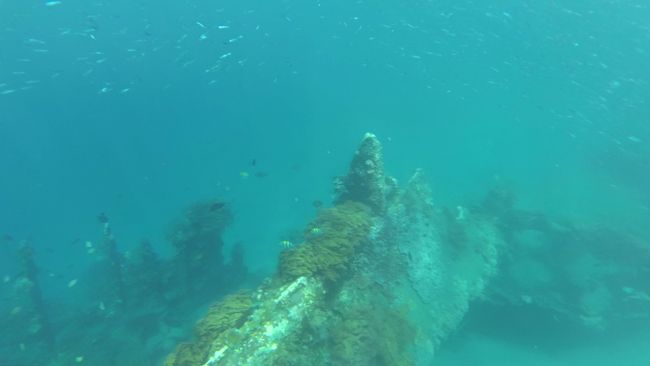 Snorkeling at the Japanese shipwreck