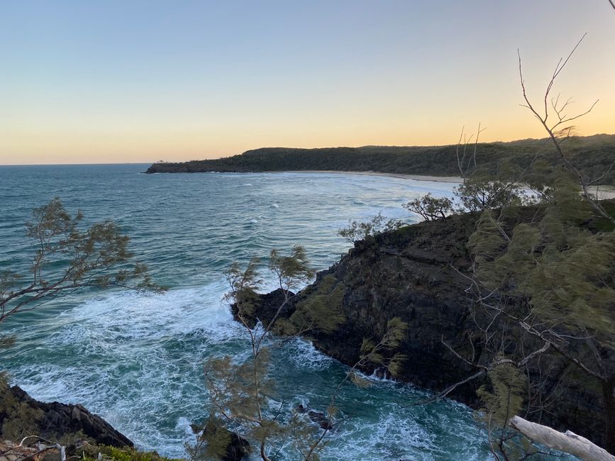 Day 50 - Noosa National Park
