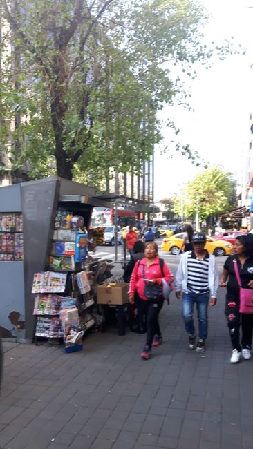 ab 19.09.: Mein Viertel Mariscal in Quito
