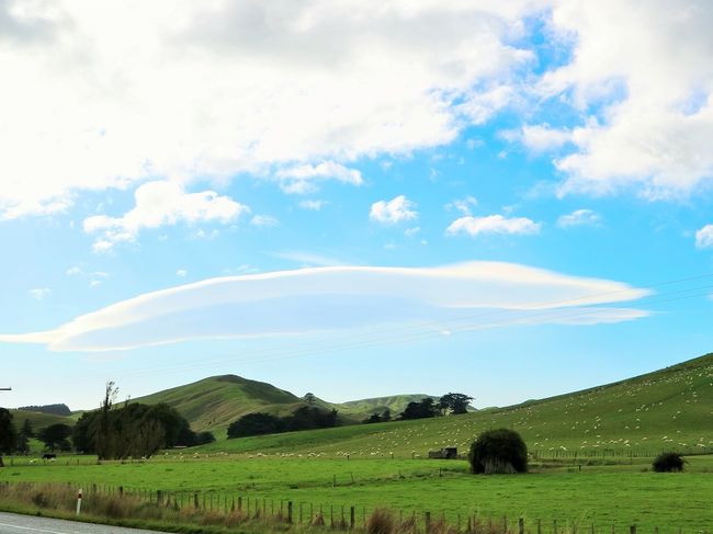 Aotearoa -  Land der langen weißen Wolke