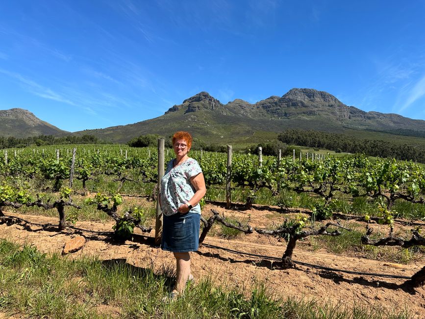 Stellenbosch 