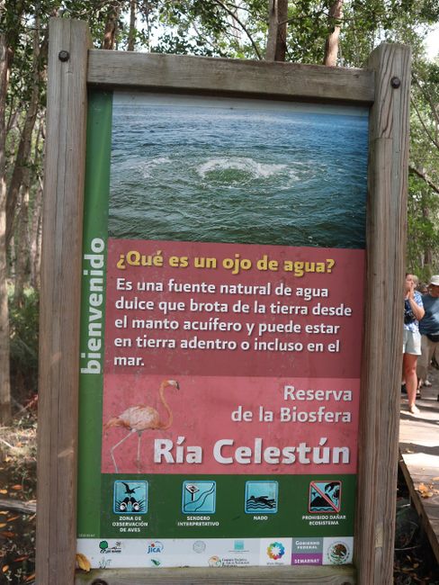 Im Biosphären-Reservat bei Celestun <3  (Tag 165 der Weltreise)