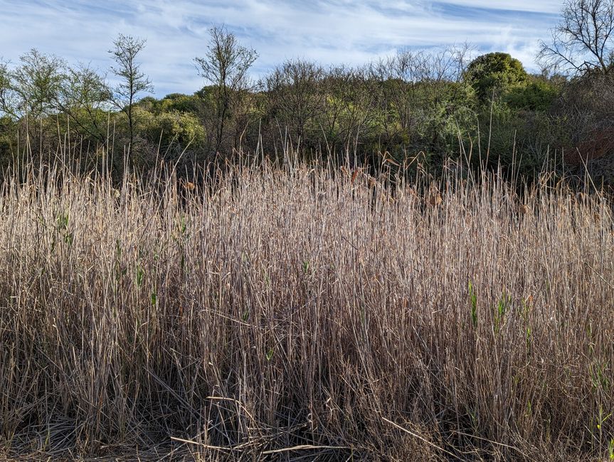 Knysna, Mossel Bay, Oudtshoorn