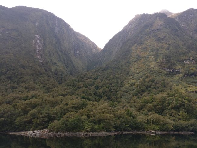 Day 15 - Sounds of the Fjords: The Doubtful Sound