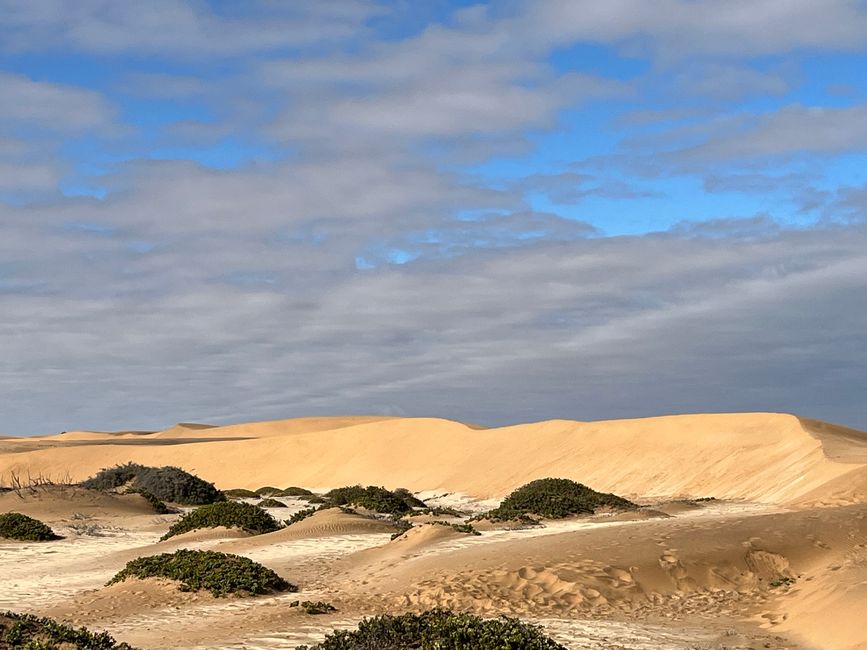 Namib - die Wüste lebt