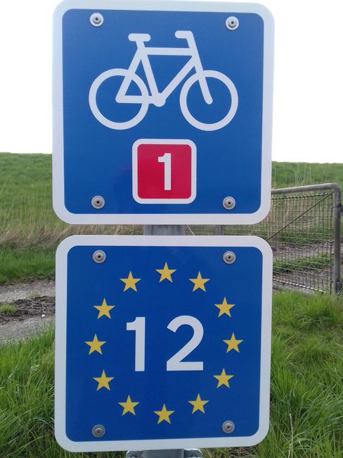 Bicycle Path Markings in DK