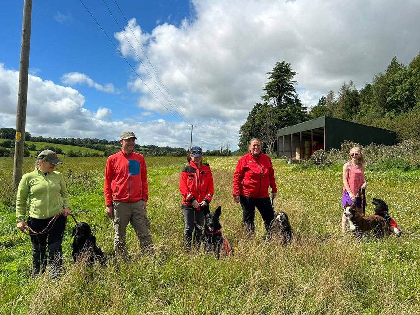 Ирска плута за обука на кучиња за пребарување