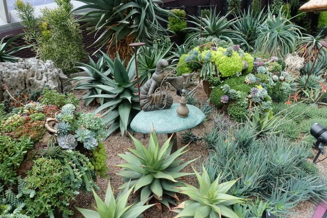 sculptures in the cactus garden