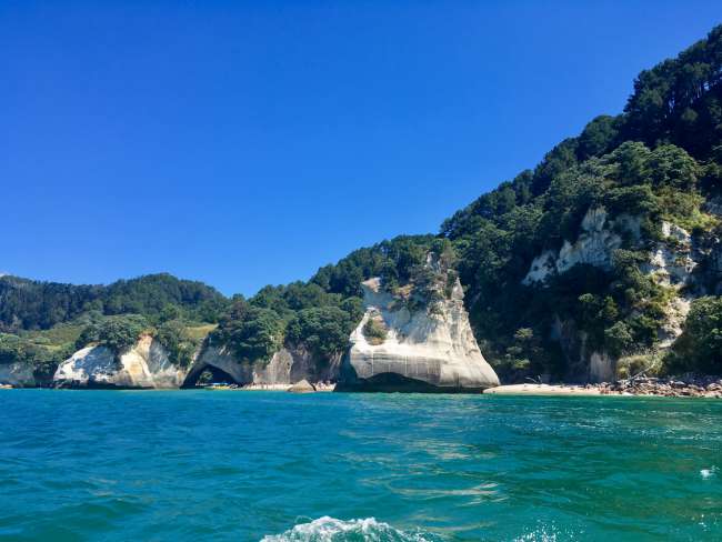 Cathedral Cove (Hahei Explorer)