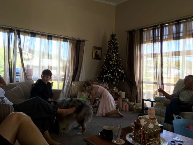Christmas in NZ