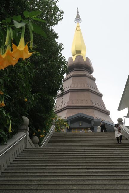 Mpe na nsima Thaïlande- Chiang Mai