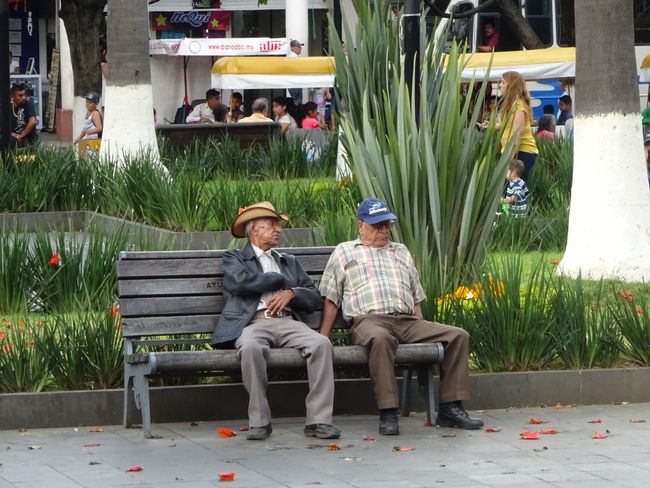 Männerstammtisch auf dem Zocalo