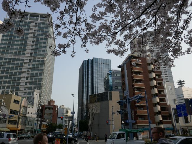 Osaka Downtown (29.03.)