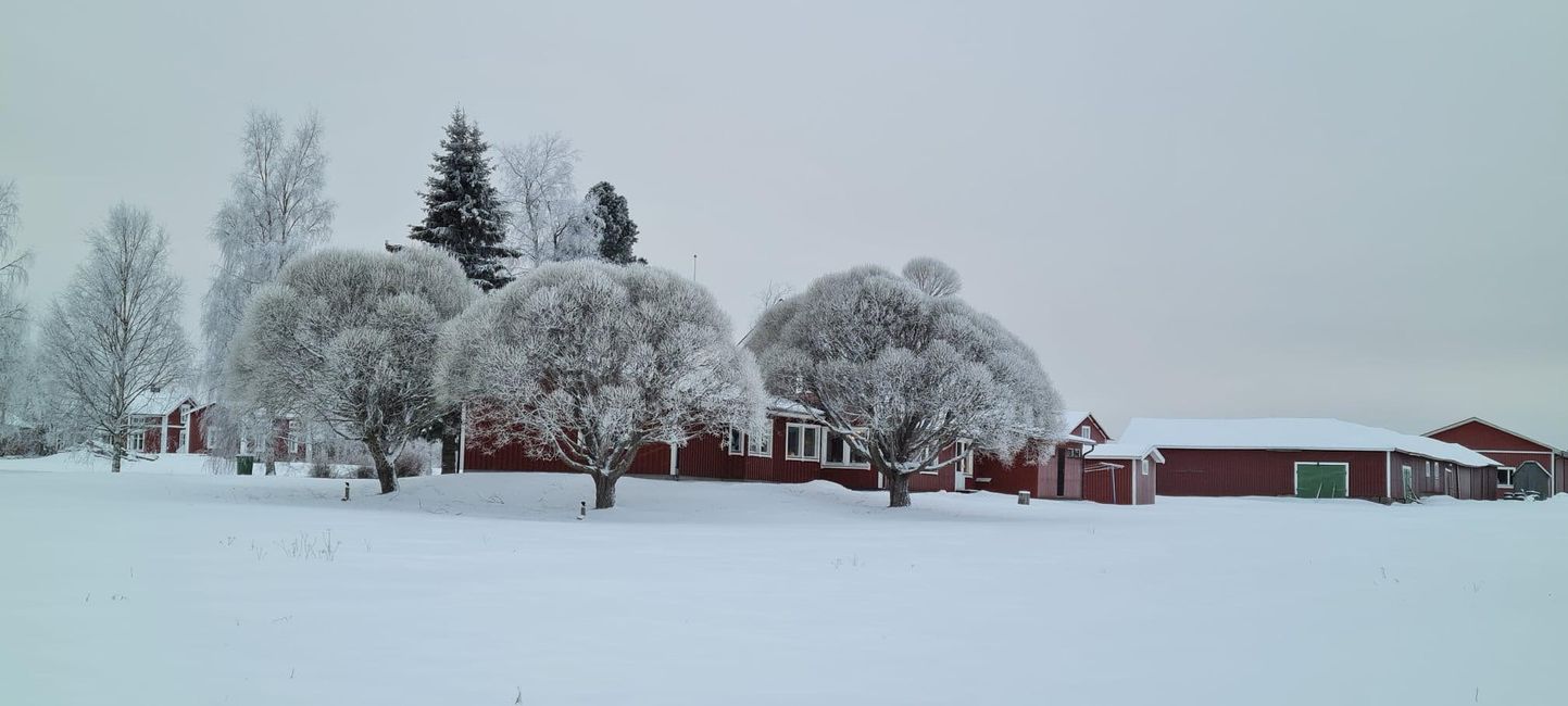 Lulea 1.Februar 2022