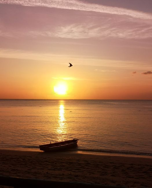 Tailandas 7 skyrius – Koh Lanta (Nemo ieškomas ir Dory rastas)