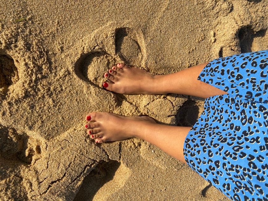 🧘🏾♀️ 🏝 🌊 ☀️