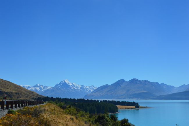 My Best Moments in New Zealand
