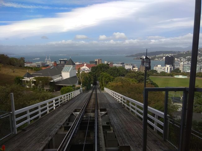 Zahnradbahn Wellington